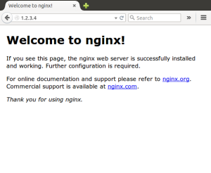 Nginx Screenshot - deploying a web container on a Google powered Mesos cluster